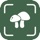 Mushroom Identifier - MI