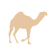 راعي النظر - منقية الجزيرة
