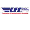 CFI QC icon