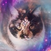 Nébula Tarot Cat icon