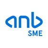 anb SME icon