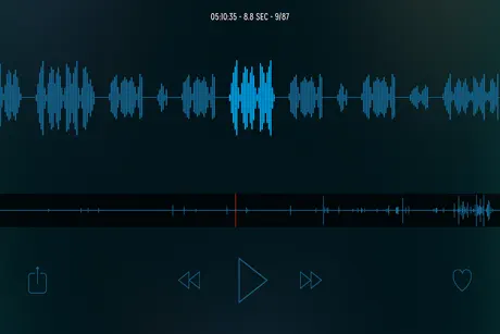Sleep Talk Recorder