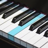 REAL PIANO: lessons & chords icon