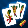 Traversone Più Giochi di Carte - iPhoneアプリ
