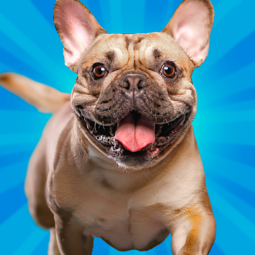 Pocket Paws: Dog Champions Pocket Paws: Dog Champions