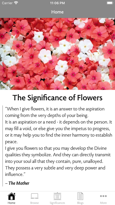 Flower Song Screenshot 1 of 8
