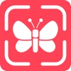 Bug Finder: Insect Identifier icon