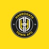 Harrogate Town AFC icon