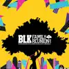 BLK Family Reunion Fest App Feedback