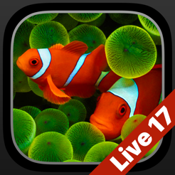 ‎Aquarium Live Hintergründe