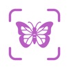 Bugs - Insects icon