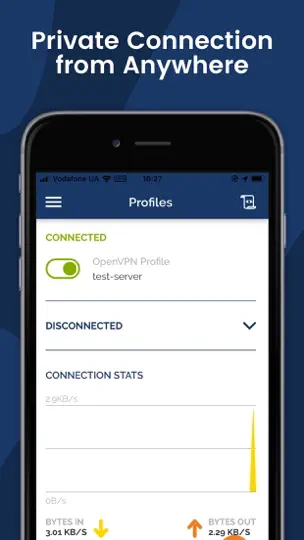Скриншот OpenVPN Connect на iPhone 4