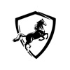 LisBon User icon