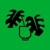 BWH Plant Co icon