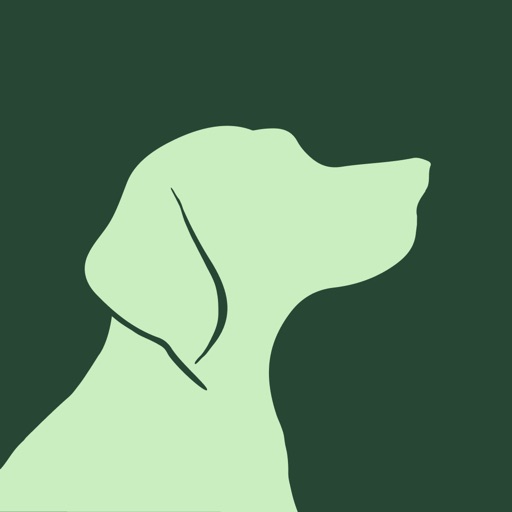Raising Dog
