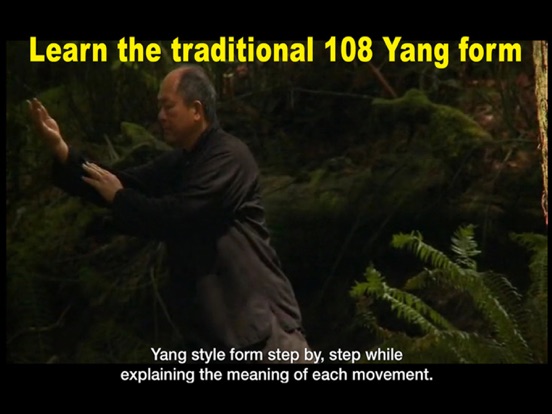 Yang Tai Chi for Beginners 1 iPad screenshot