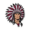 Vici Public Schools, OK icon