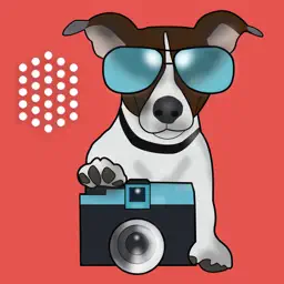 Hablando sin palabras app icon