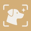 Dog Breed Identifier: Woofi AI icon