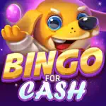 Bingo For Cash - Real Money App Problems