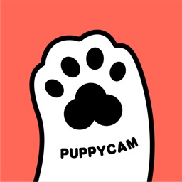 puppycam