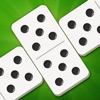 Arcadia Dominoes for Seniors icon