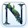 Newman’s Birds of Africa icon