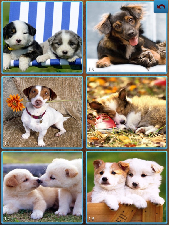 Screenshot #5 pour Dogs Jigsaw Puzzles - Titan