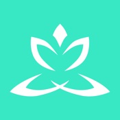 Zen Timer.