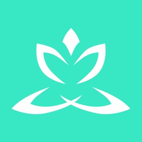 Zen Timer.