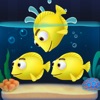 Fish Sort 3D: Match Puzzle icon