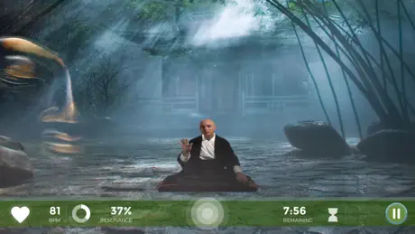 Zen Journey by Wild Divine