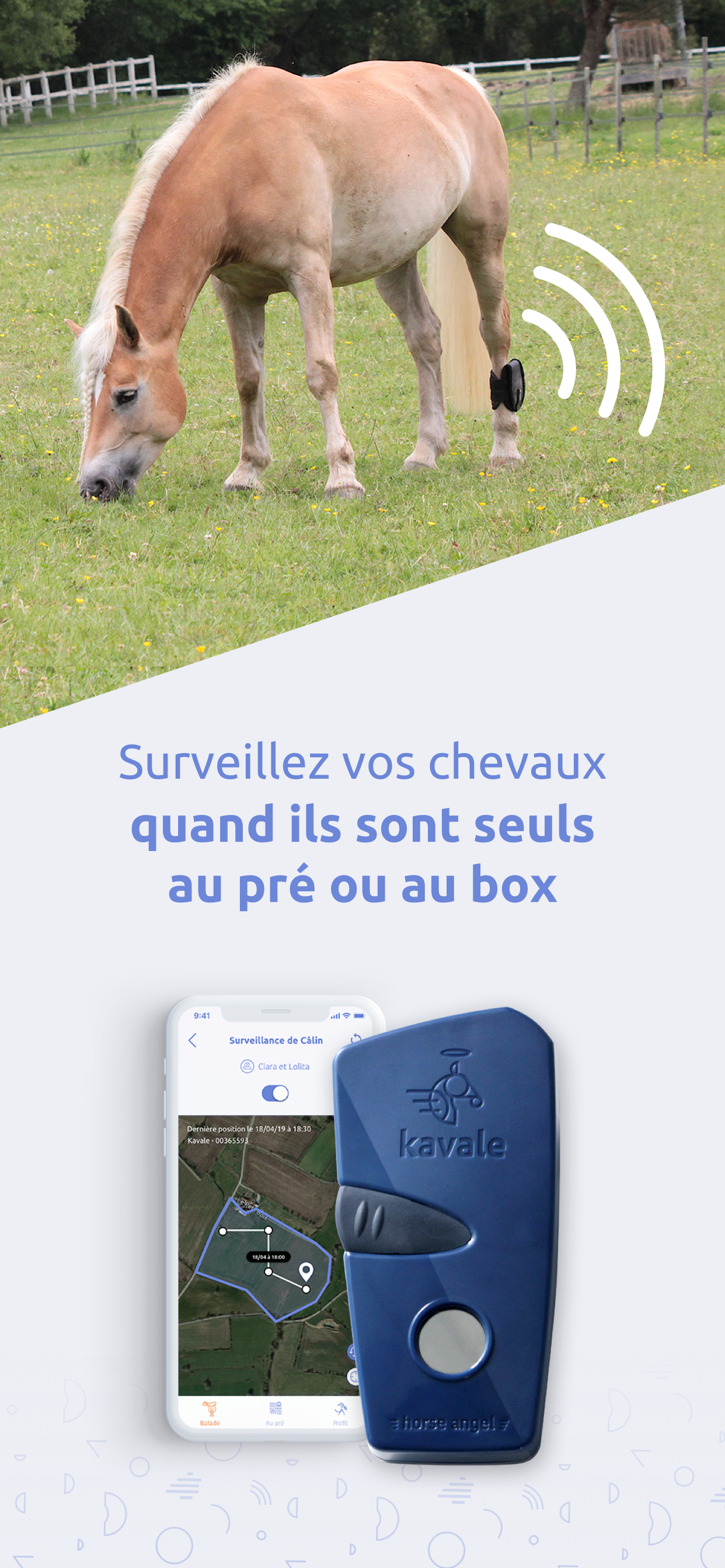 Kavale - Sécurité Équestre
