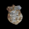 Katiba® EMR Studio icon