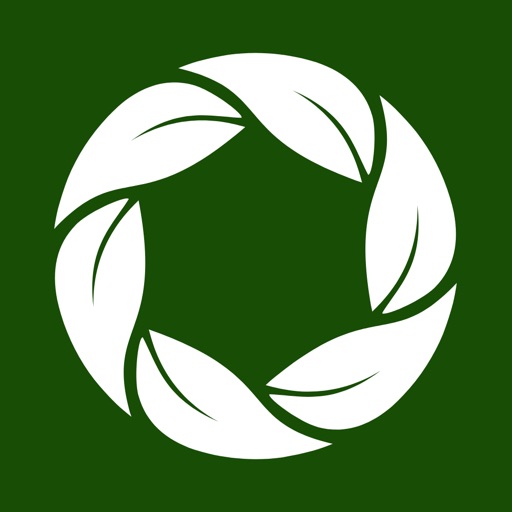 Mitsu: AI Life Coach