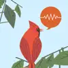 ChirpOMatic - BirdSong USA delete, cancel