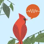 ChirpOMatic - BirdSong USA App Alternatives