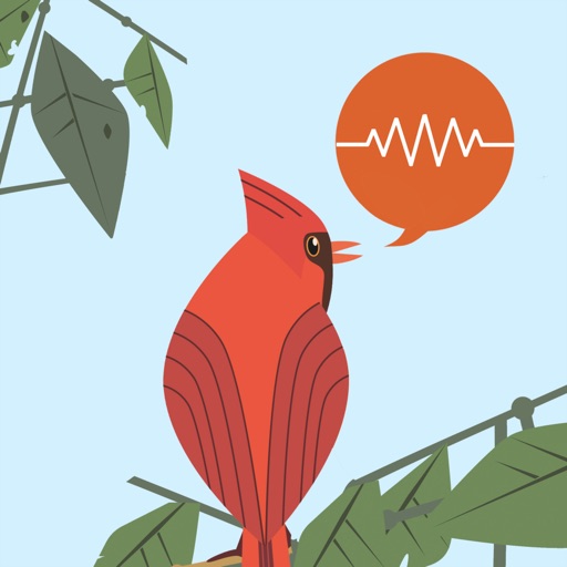 ChirpOMatic - BirdSong USA icon