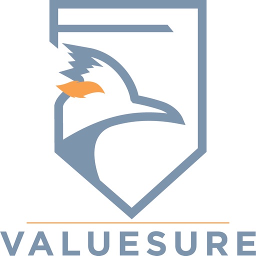 ValueSure Agency, Inc.
