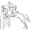 Reitabzeichen Pferdeführerchei icon