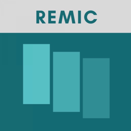 REMIC Exam Flashcards