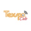 Texspo Cab icon