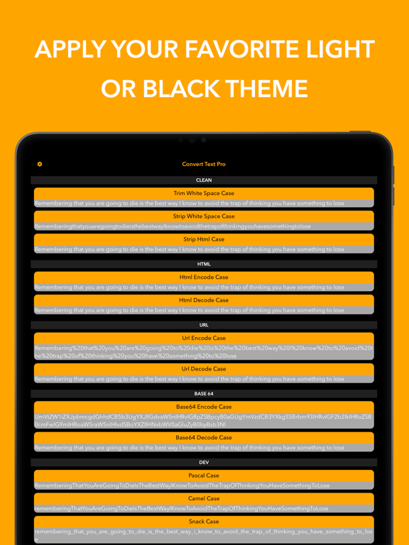 Convert Text - Format Text iPad screenshot 4 - Utilities app