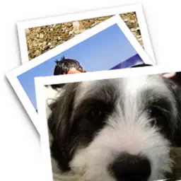 DeskTop Photo Player app icon