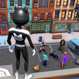 Super Spider Cat Hero Game 3D