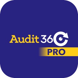 Audit360° Pro