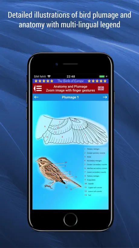 Aves de Europa