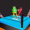 Drunken Wrestlers 3D Fighting icon