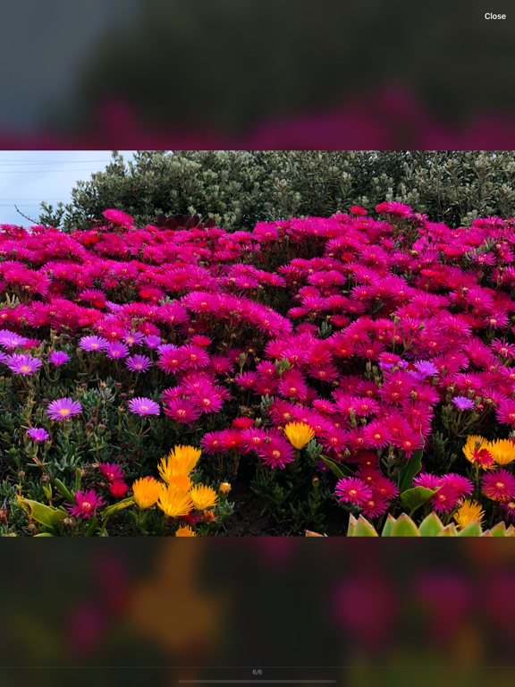 Private Vault - Photo & Video iPad screenshot 3 - Utilities app