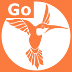 Golang & SQL на пк